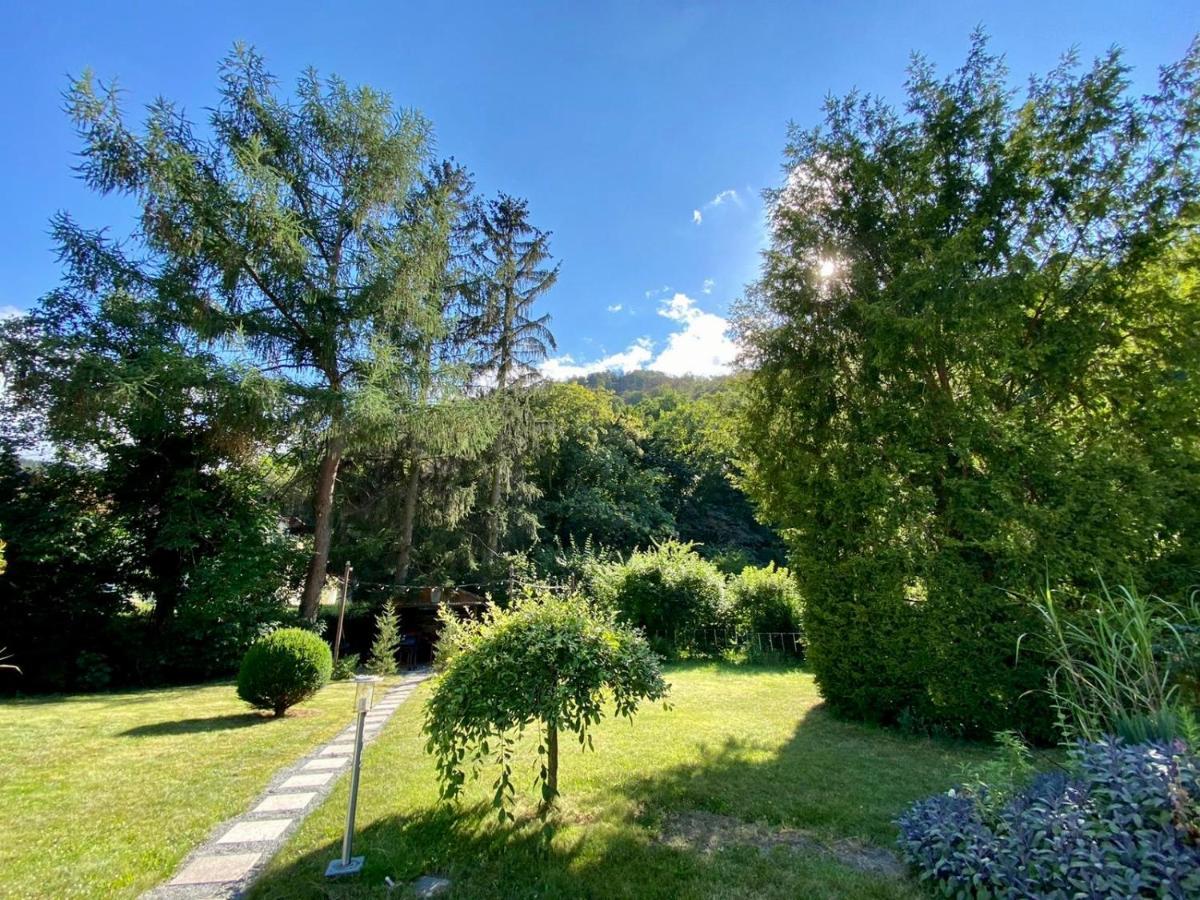 Traumhaus Thale Mit Sauna Und Kamin 外观 照片