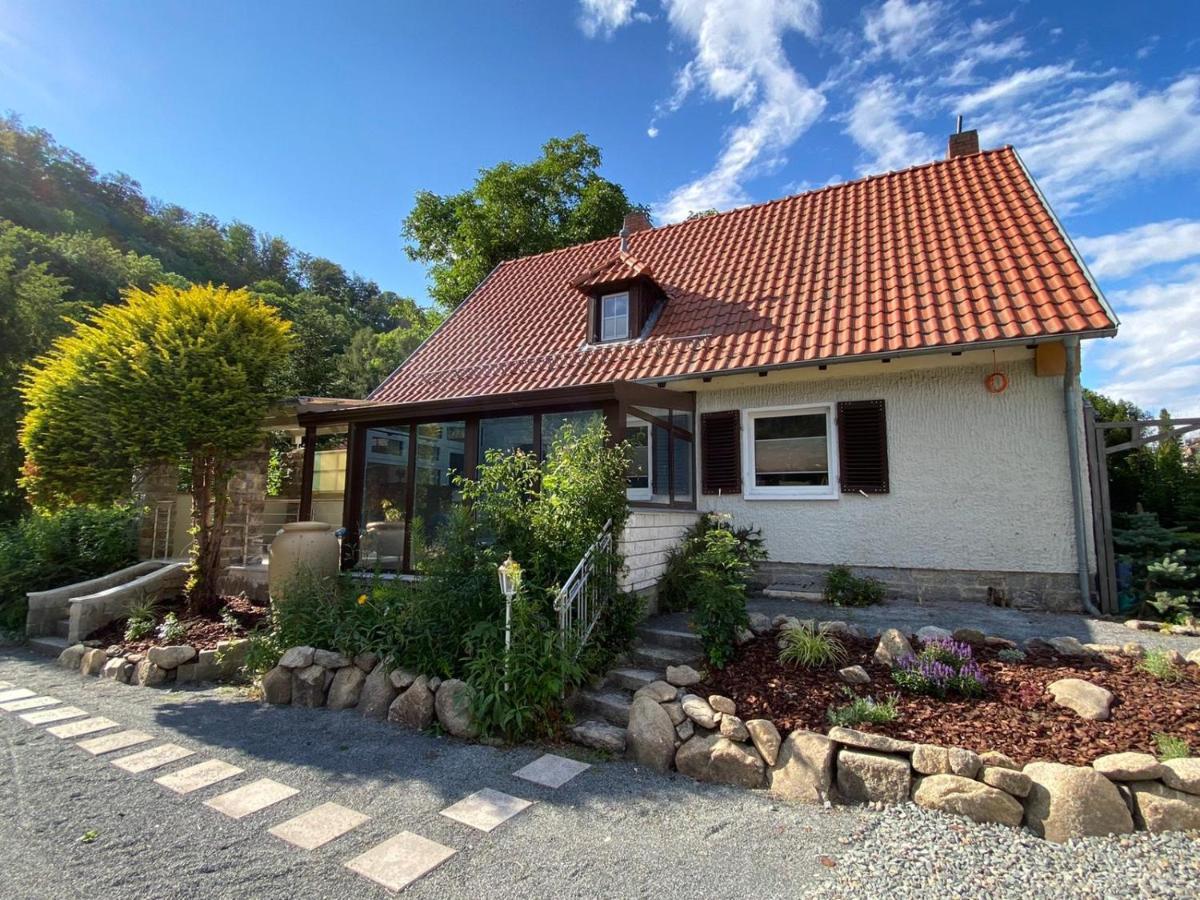 Traumhaus Thale Mit Sauna Und Kamin 外观 照片